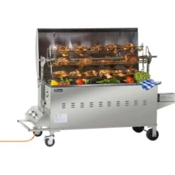 Tepro Gasgrill Columbus Für Spanferkel Inkl. Motor Edelstahl Mit 2 Brennern -Gartenwelt Verkauf 2083137 picture 3